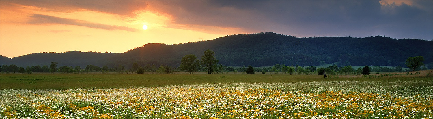 Regional - East Tennessee Mountain & Flower