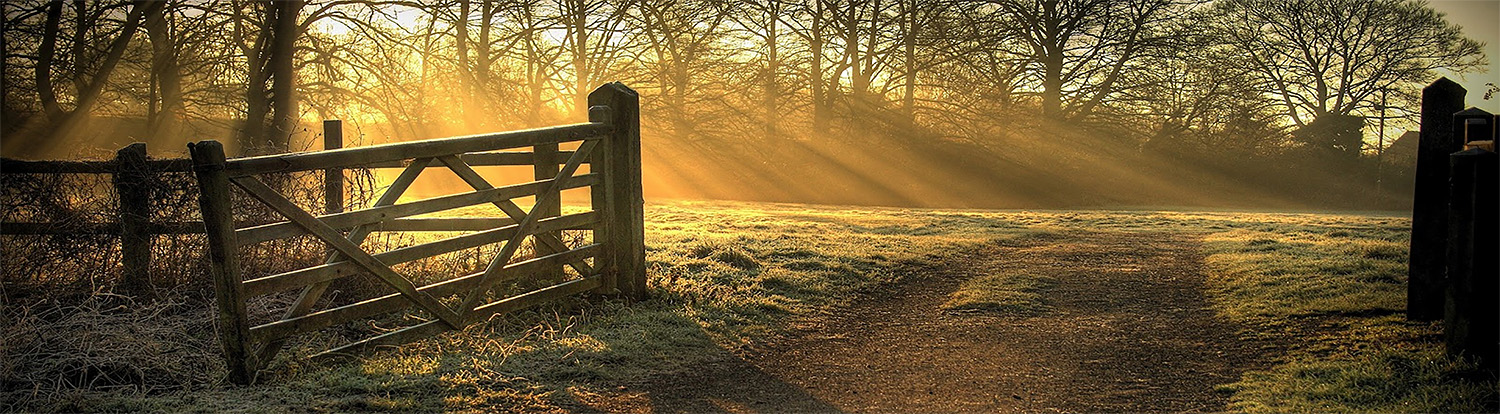 Regional - Farm Gate