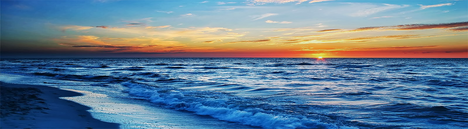 Regional - NC Beach 4