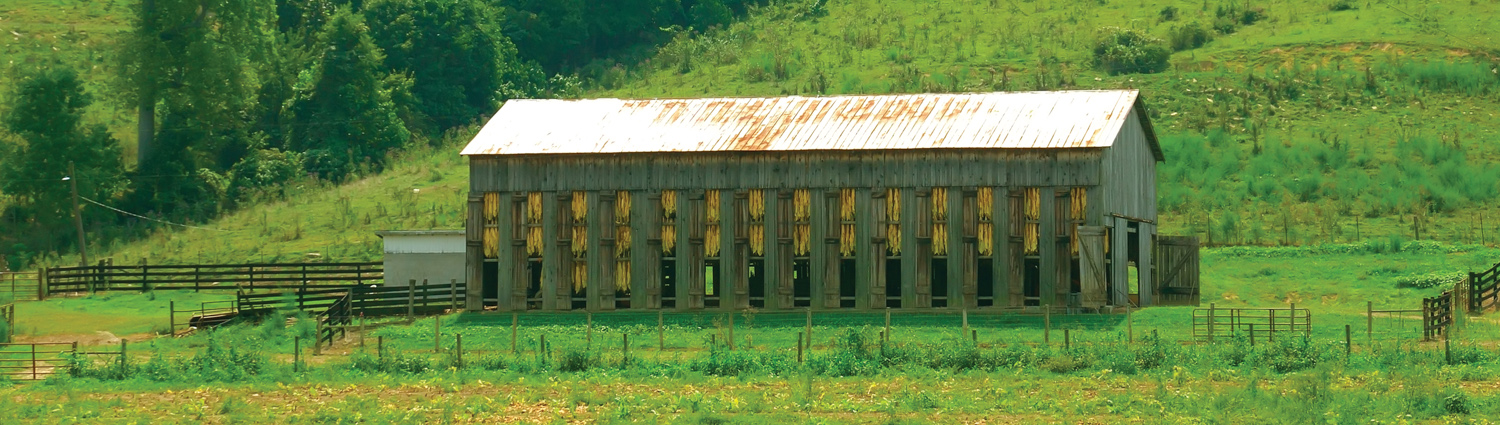 Tobacco Barn